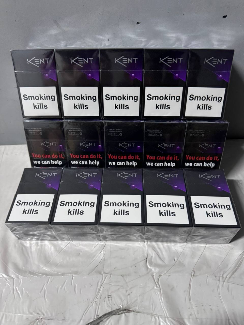 Kent КS черника 1 Kent КS черника