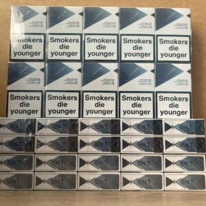 Главная 28 Kent 8 KS