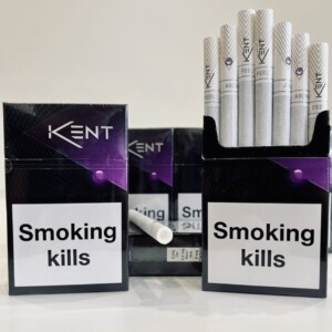 Kent nano (черника)